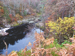 The Dunearn Burn walk - Earl of Moray's estate