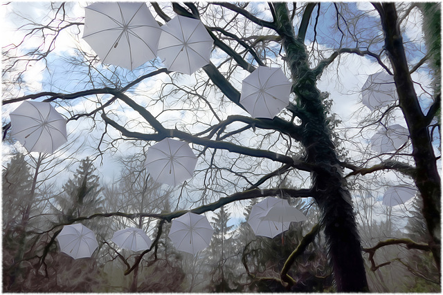 Regenschirme im Park