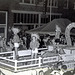1958 Dairy Day Parade