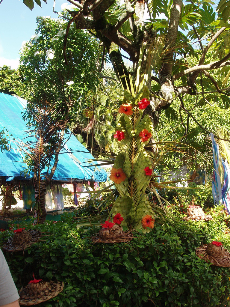 Bora Bora, area shop, January 20