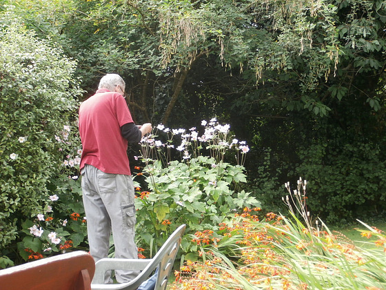 Browsing in the garden