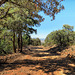 Carr Canyon Road