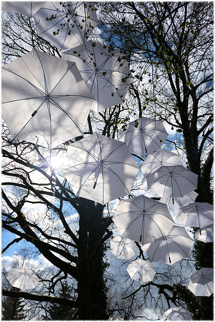 Regenschirme im Park (pip)