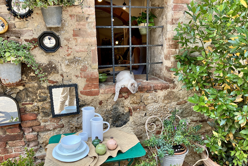 Monteriggioni 2023 – Cat