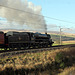 Stanier LMS class 5 45212 climbing Shap at Scout Green with 1Z59 06.15 Nottingham - Carlisle Northern Belle 26th October 2024.