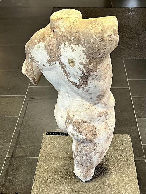 Vatican 2025 – Torso