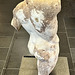 Vatican 2025 – Torso