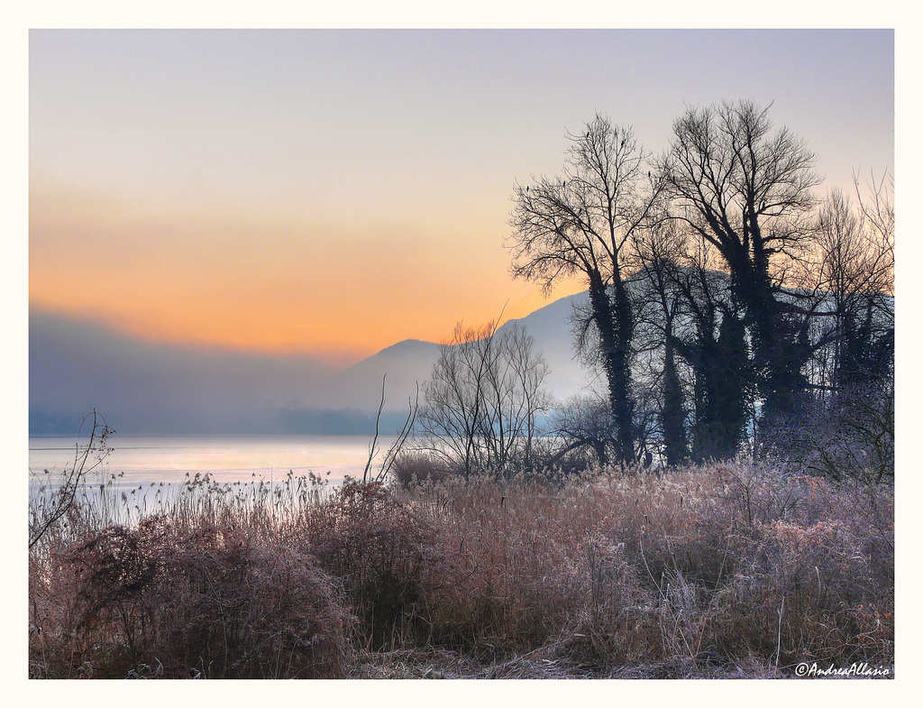 Fog and frost over the small Avigliana lake