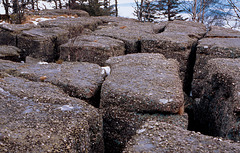 Le Rocher de Mutzig (1010 m)