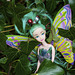 Wee Fairy in the Ivy