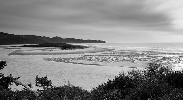 Estuary Interactions