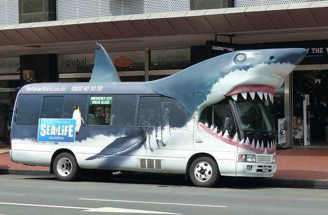 Sea Life Shark Shuttle - 23 February 2015