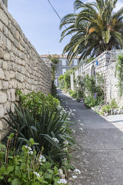 Osor, Isola di Cres - Croazia
