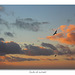 Gulls in the sunset - Seaford Bay - 29.12.2015