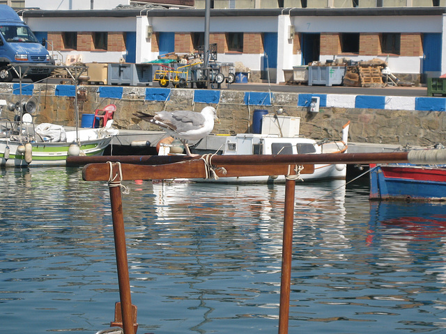 Im Fischereihafen von Roses -Costa Brava