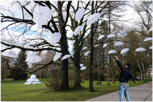 Regenschirme im Park (pip)