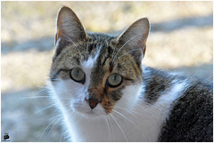 1er portrait de l'année !