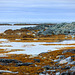 Barents Sea