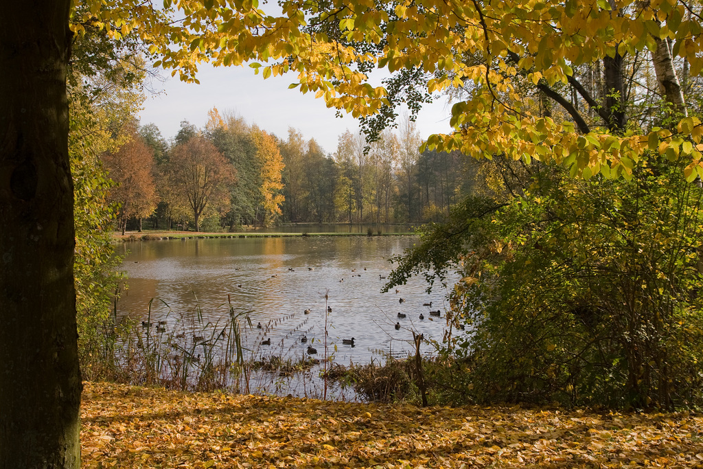 Stadtpark Waldsassen