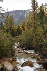 après la cascade le torrent