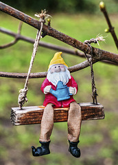 Wee Gnome on a Swing
