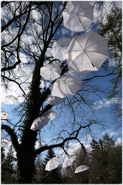 Regenschirme im Park