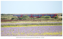 Gatwick Express 387 class train passing the former Tide Mills halt - 5 8 2024