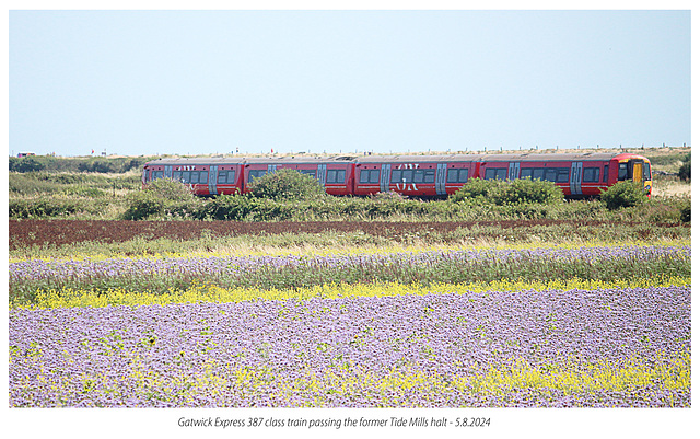 Gatwick Express 387 class train passing the former Tide Mills halt - 5 8 2024