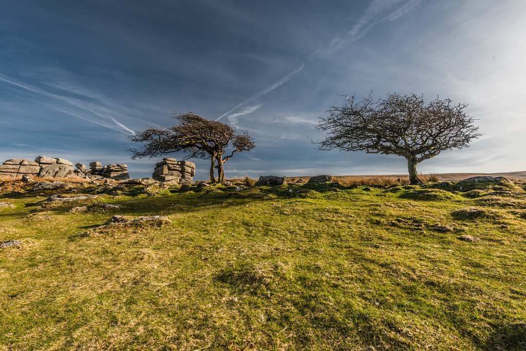 Dartmoor - 20150413