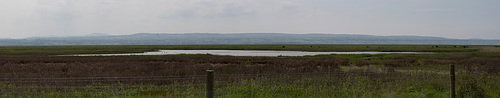 Decca pool, Burton marshes