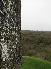 okehampton castle, devon , view east from motte(8)