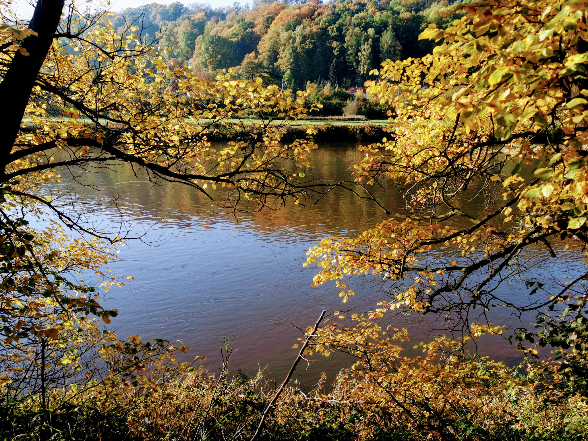 Goldener Herbst im Elbtal