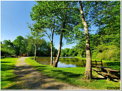 The lush green of the month of May- HBM