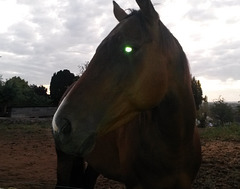 mit Beleuchtung. mit Beleuchtung.