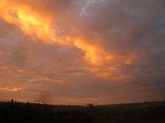 DSCN7194