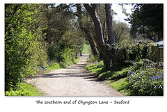 The southern end of Chyngton Lane - Seaford - 20.4.2016