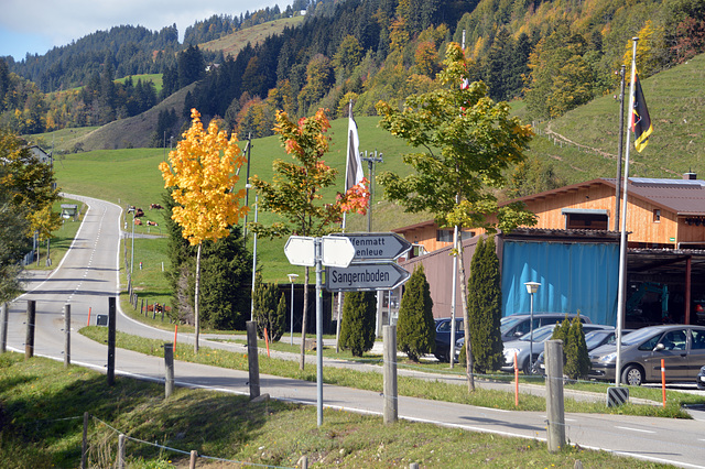 Herbst an der Kantonsgrenze zwischen Bern und Freiburg