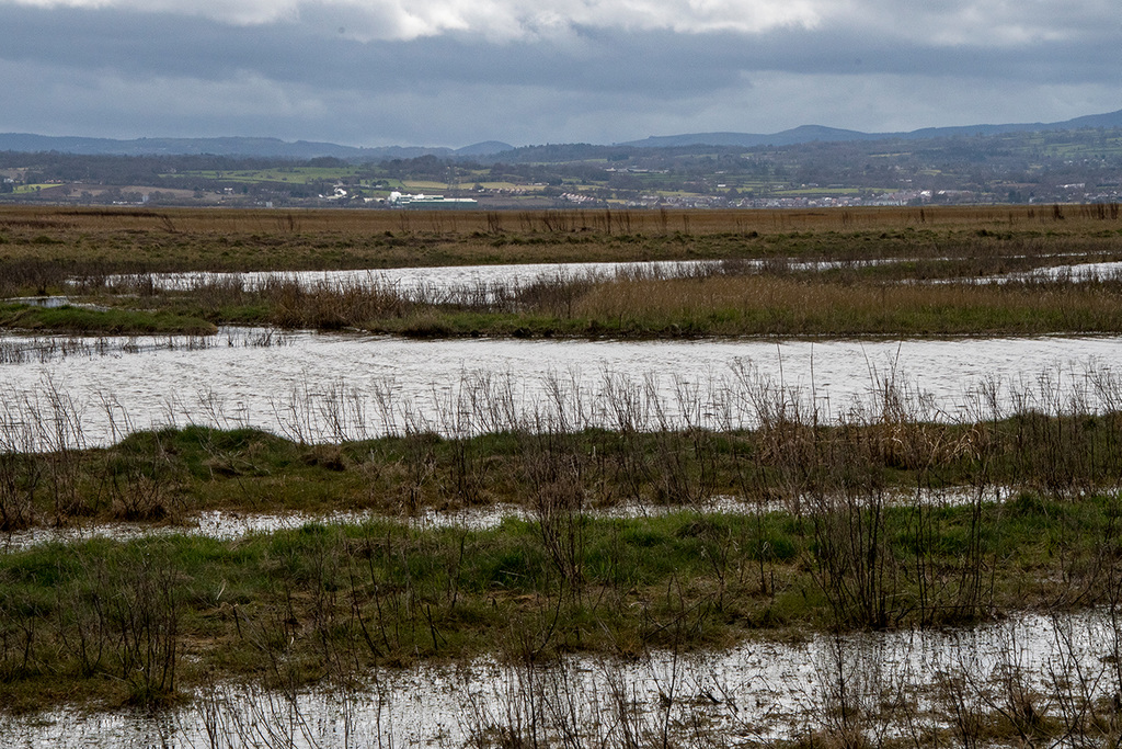 Dee marshes showing the gullies and flashes