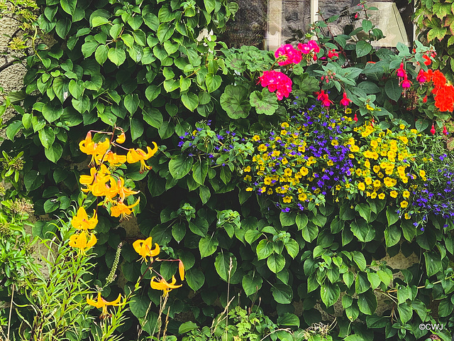 Window box in Findhorn