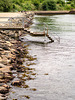 Bathing jetty