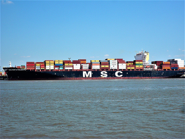 MSC SOFIA CELESTE