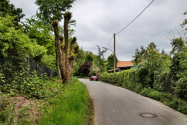 Bövinghauser Straße (Dortmund-Bövinghausen) / 20.05.2023