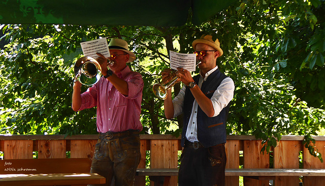 Musik am Zaun