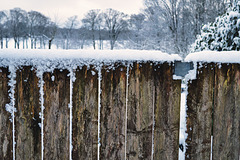 Der eingezäunte Winter