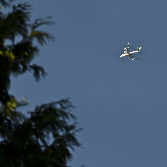 White "bird" in the sky