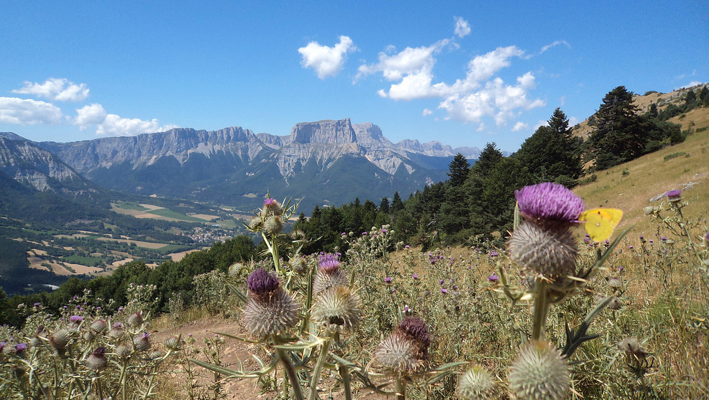 LE VERCORS ET LE MONT AIGUILLE