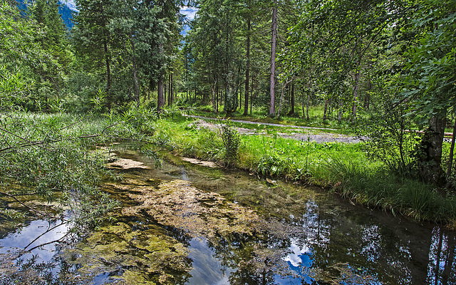 140804 Diablerets 2