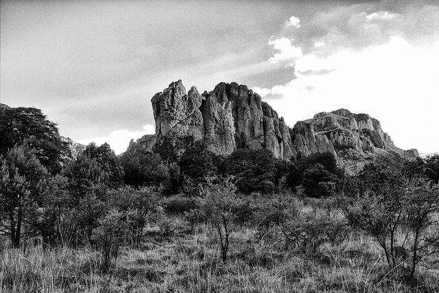 Cave Creek Canyon