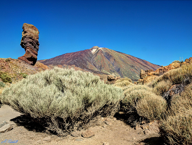 Teides - Volcanic splendours.