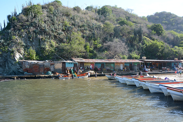 Venezuela, Puerto Colombia Fishing Port